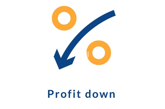 6-reduce-profit